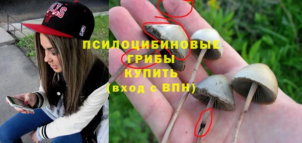 гидропоника Алзамай